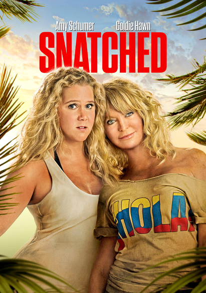 Snatched movie poster