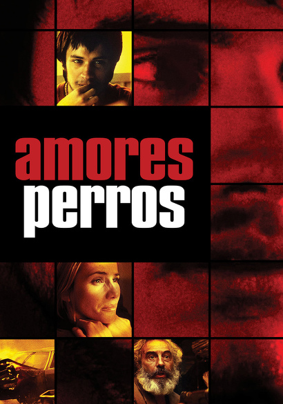 Amores Perros movie poster