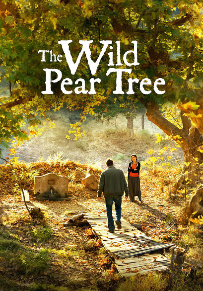 The Wild Pear Tree movie poster